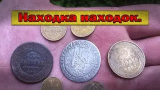 Лесной коп. Находка находок.