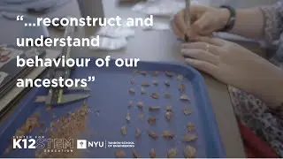 ARISE and African Paleosciences Lab