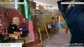 Новогоднее обращение мопсихи