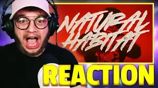 ONEFOUR - Natural Habitat [UK Reaction] | #LucaReacts