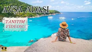 PLACES TO VISIT: THAT PARADISE ISLAND, NEAR ISTANBUL: AVŞA ISLAND