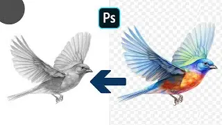 How to Convert A Photo to Line Art Drawing in Photoshop | Photoshop Pencil Sketch effect tutorial