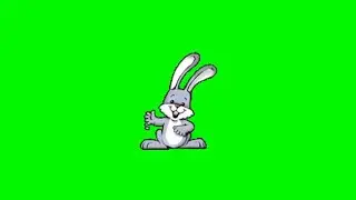 Rabbit Green Screen Effects | Free