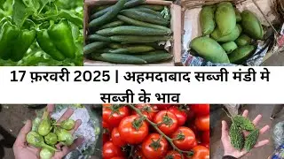Ahmedabad wholesale vegetable market | 17 February 2025 | अहमदाबाद सब्जी मंडी मे सब्जी के भाव...