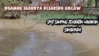 ngamuk ikanya dijaring ancaw