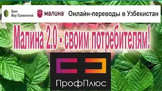 МАЛИНА 2.0 | Обзор потребительских сервисов Мир привилегий и ПрофПлюс.