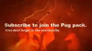 Pug Intro Video