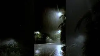 Malam Tenang dengan Hujan di Pinggir Jalan | relaksasi sebelum tidur