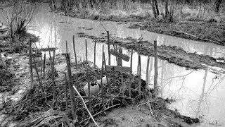 Поиск погибших в болоте солдат/Search for the soldiers of the second world war who died in the swamp