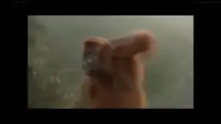 sopa de macaco 1 hora / Nuevo Trap