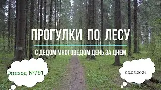 Прогулки по лесу. День за днем с дедом Многоведом. 3 мая 2024г. Эпизод 791.