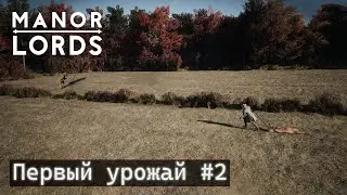 Manor Lords.  Первый урожай #2.
