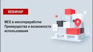 MES в мясопереработке преимущества и возможности использования
