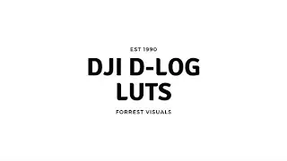 DJI D-LOG Conversion LUTS