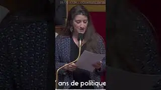 Cette députée LFI met un clim mémorable au gouvernement #shorts #france #reels