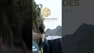 A ilha dos 750 gatos selvagens um lugar intrigante e cheio de mistérios #shorts
