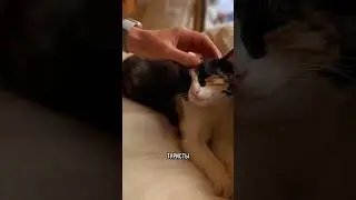 Не популярный курорт в Турции. Но самый красивый! Смотри на канале ролик про Фетхие ✨