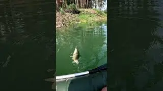 Ловля карася на зимнюю удочку с лодки! #рыбалка