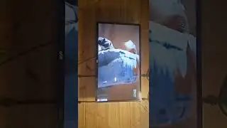 Дом для этого