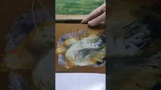 кот спрятал носик