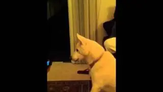 Zoya singing