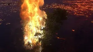 Using Cinema4D and Turbulence FD to Set Tree on Fire