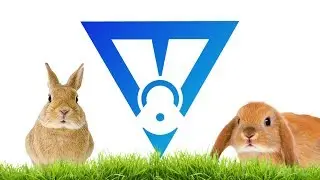 Bunny Hunting
