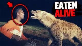 This Man Was EATEN ALIVE By Savage Hyena While Collecting Firewood!