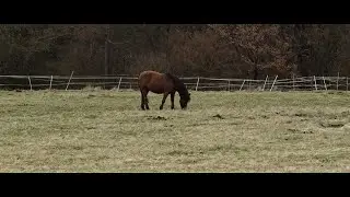 Bmcc 2.5k - Altenahr - Cinematic VII