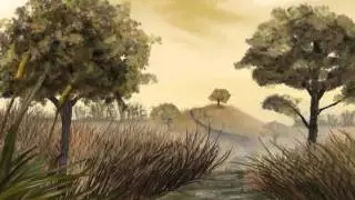 Coyote Teaser