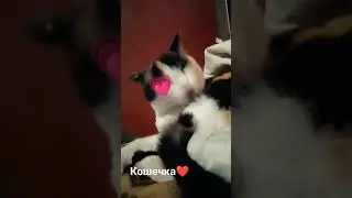 кто считает что она милая ставь лайк и подписывайся!!