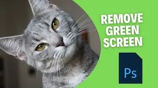 How to Remove Green Screen in Photoshop - Complete Guide