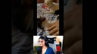 Okat dikhadi / payal gaming reaction funny video 🤣 / Payal gaming / Omegle #shorts
