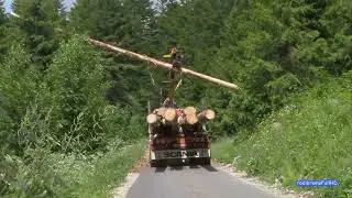 Billes de sapin, chargement par un virtuose.
