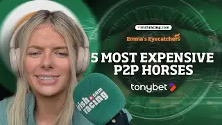 Most Expensive P2P Horses 2024| Emma's Eyecatchers
