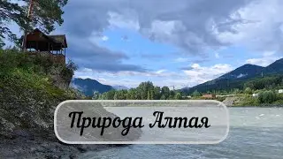 Природа Алтая