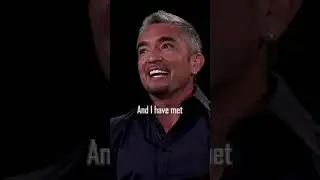 What Cesar Millan Loves about Animals | Eckhart Tolle