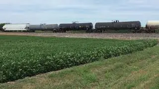 Blocked by a stopped train
