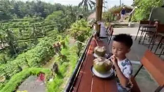 PriveReview Tegalalang Rice Terrace Ubud, Bali 2/2020