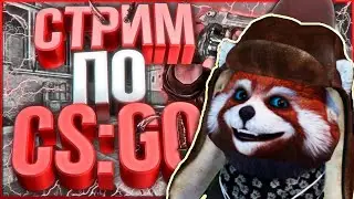 🔥ЕНОТ ИГРАЕТ В CS GO🔥29.01.2021🔥