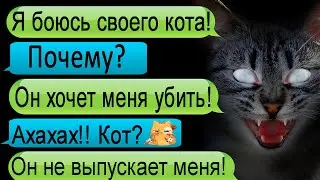Мой кот - не кот! Я боюсь своего кота! Переписка. Звонок. ННК.