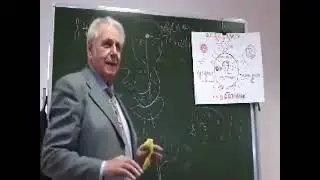 Здоровье и долголетие (