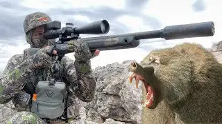 Challenging Multi Day Baboon Varminting Hunt