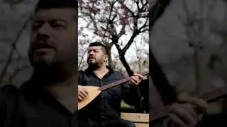 Kutsal Evcimen - Nazlı Yar #shorts