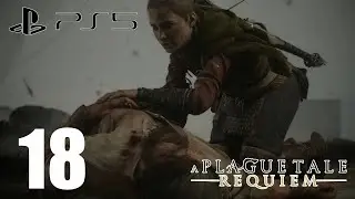 A Plague Tale: Requiem | PS5 | Part 18
