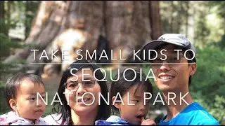 Sequoia National Park and Califonia Farms, A trip with small kids