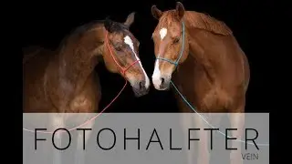Fotografenhalfter VEIN