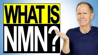 What is NMN? What does it do?