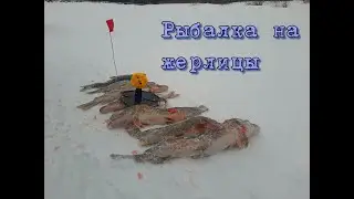 Рыбалка на жерлицы.
