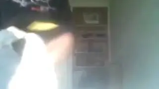 revenge of the animal falling 3